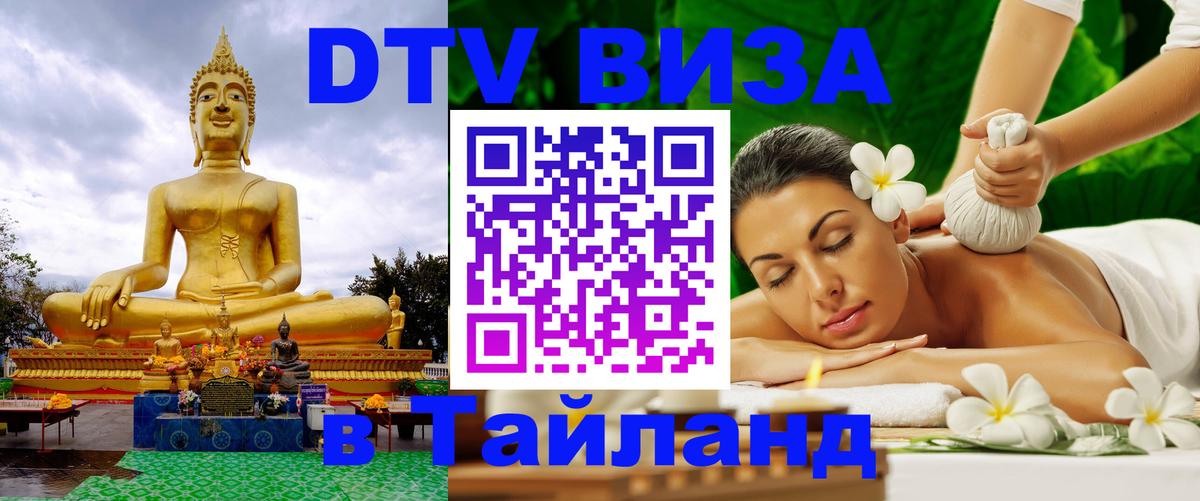 Оформление DTV визы под ключ: стоимость и тарифы, только загранпаспорт - Ростов-на-Дону 